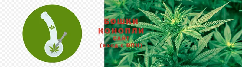 Каннабис OG Kush  Болгар 